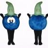 Adult Blueberry Mascot Costume