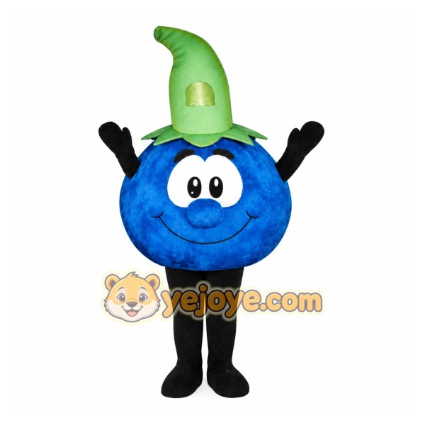 Adult Blueberry Mascot Costume Adult Blueberry Mascot Costume
