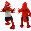 Red Bird Mascot Costume