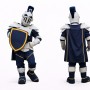 Knight Mascot Costume