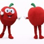 Red Apple Mascot Costume