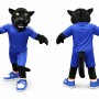 Black Panther Mascot Costume