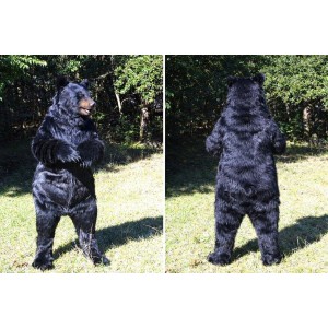 Realistic Black Bear Mascot Costume Full Body