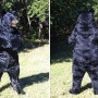 Realistic Black Bear Mascot Costume Full Body