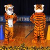 Tiger Mascot Costume Orange and Black for Events