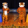 Tiger Mascot Costume Orange and Black for Events
