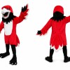 Red Bird Mascot Costume