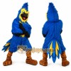 Blue Greater Roadrunner Mascot Costume for Parties and Events