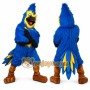 Blue Greater Roadrunner Mascot Costume for Parties and Events