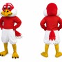 Red Bird Mascot Costume