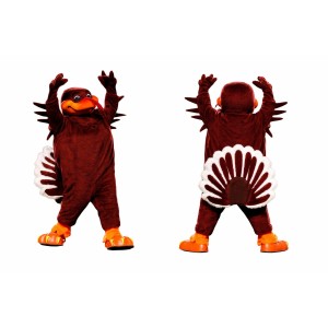 Brown Bird Mascot Costume