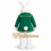 Green Rabbit Mascot Costume