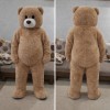 Brown Bear Mascot Costume for Parties and Events