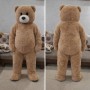 Brown Bear Mascot Costume for Parties and Events