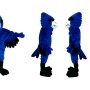 Blue Jay Mascot Costume
