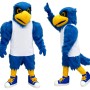 Blue Falcon Mascot Costume
