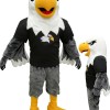 Adult Sport Eagle Mascot Costume