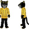 Sport Black Panther Mascot Costume