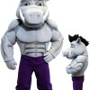 Hog Mascot Costume
