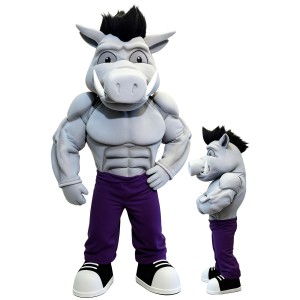 Hog Mascot Costume