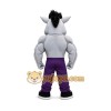 Hog Mascot Costume Hog Mascot Costume