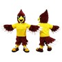 Bird Cardinal Mascot Costume