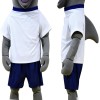Dolphin Mascot Costume