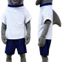 Dolphin Mascot Costume