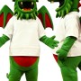 Green Dragon Mascot Costume