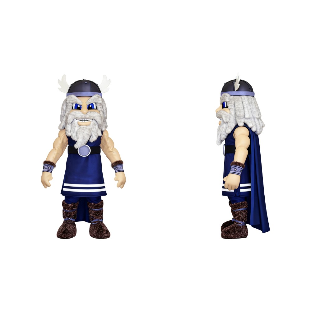Vikings Mascot Costume