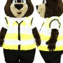 Cute Bear Mascot Costume