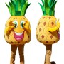 Pineapple Mascot Costume