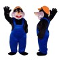 Mole Mascot Costume