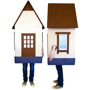 House Mascot Costume