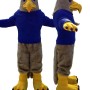 Sport Adult Eagle Mascot Costume