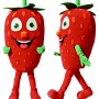 Strawberry Mascot Costume