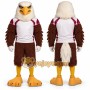 Sport Adult Eagle Mascot Costume