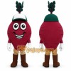 Beet Mascot Costume