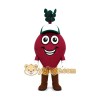 Beet Mascot Costume