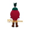 Beet Mascot Costume