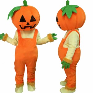 Red Cardinal Mascot Costume