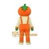Realistic Halloween Pumpkin Mascot Costume
