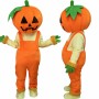 Red Cardinal Mascot Costume
