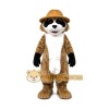 Fierce Raccoon Mascot Costume