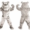 Fierce Lightweight Bulldog Mascot Costume