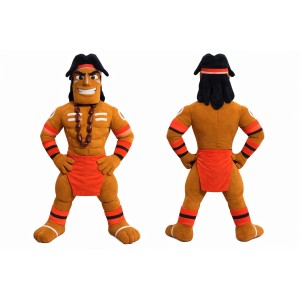 Indian Man Mascot Costume