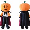 Happy Halloween Pumpkin Mascot Costume