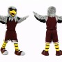 Furry Sport Eagle Mascot Costume