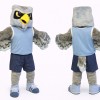Sport Owl Mascot Costume