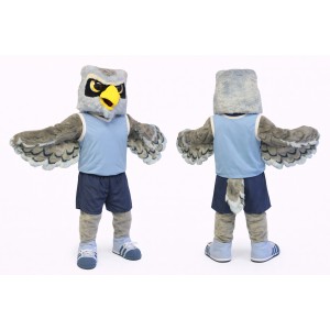 Sport Owl Mascot Costume